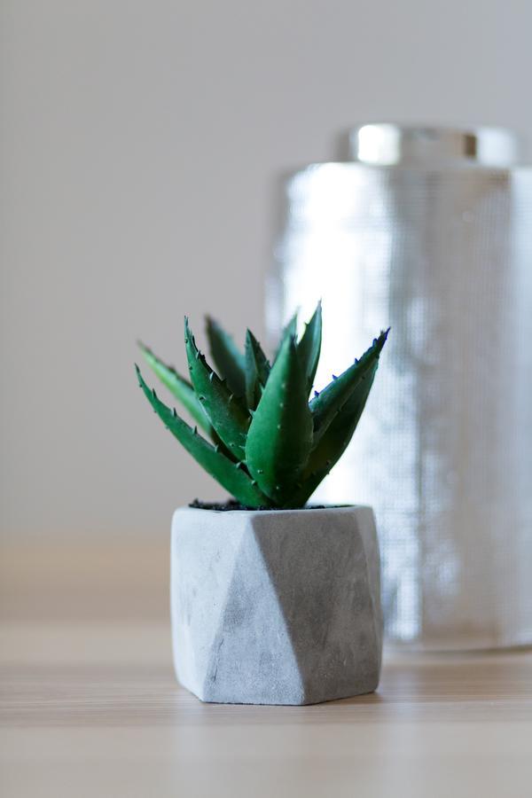 Urban Chic 1Bd Apartment In Hilton District By Upstreet Athens Luaran gambar